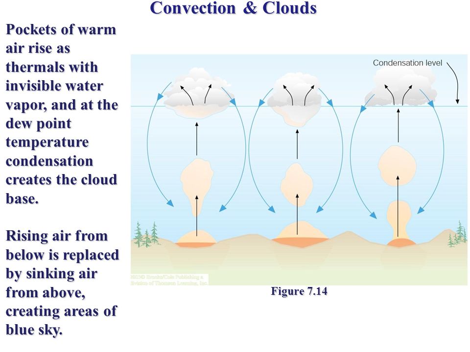 Convection & Clouds Pockets of warm air rise as thermals with invisible water vapor, and at the dew point temperature condensation creates the cloud base.
