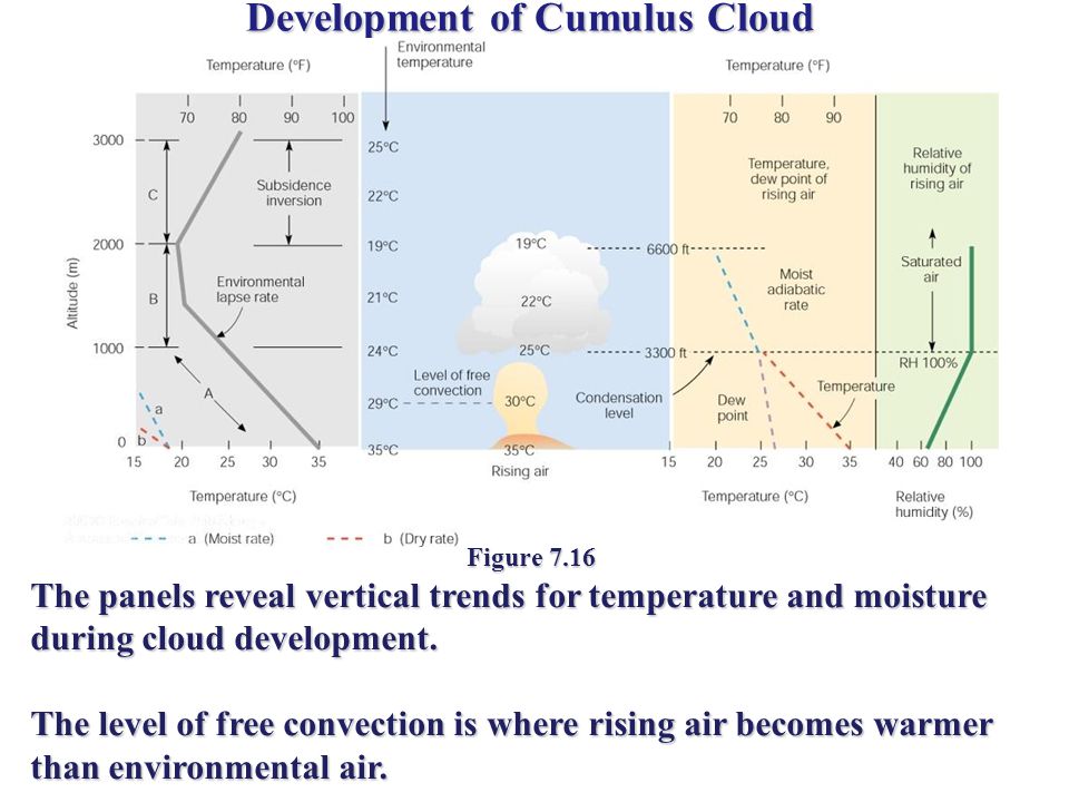 Development of Cumulus Cloud The panels reveal vertical trends for temperature and moisture during cloud development.