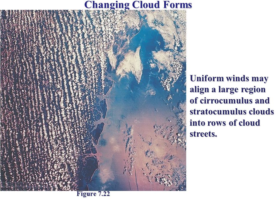 Changing Cloud Forms Figure 7.22 Uniform winds may align a large region of cirrocumulus and stratocumulus clouds into rows of cloud streets.