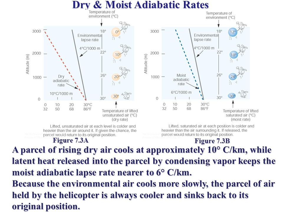 Dry & Moist Adiabatic Rates Figure 7.3A Figure 7.3B A parcel of rising dry air cools at approximately 10° C/km, while latent heat released into the parcel by condensing vapor keeps the moist adiabatic lapse rate nearer to 6° C/km.
