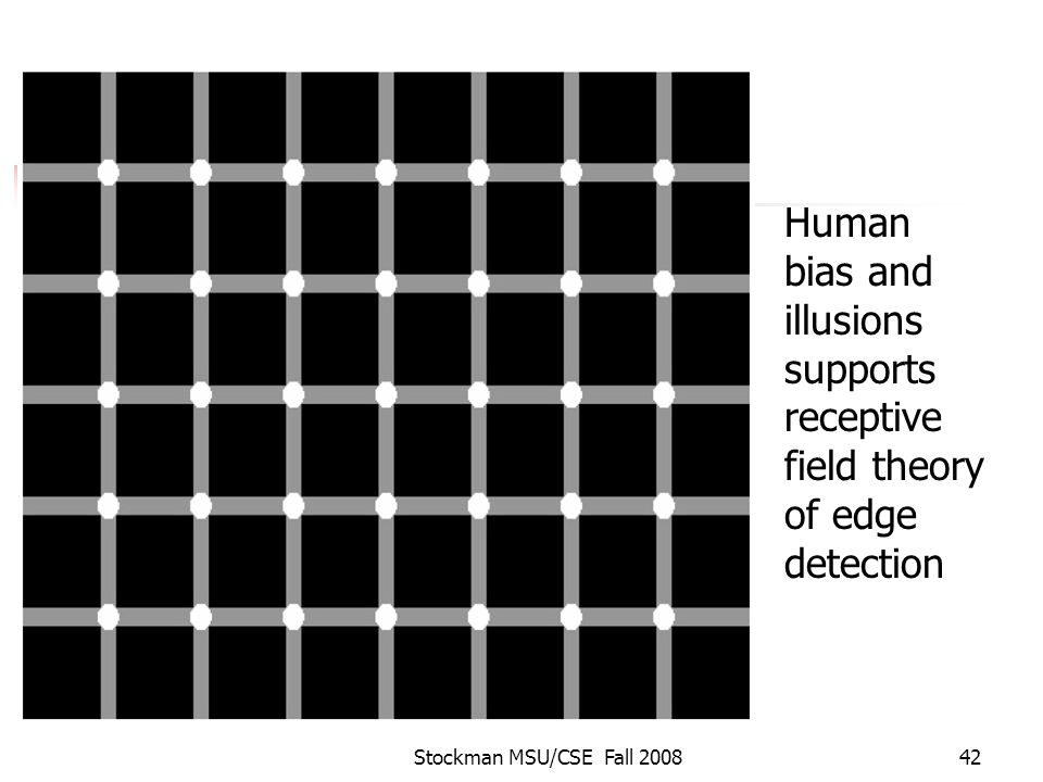 Stockman MSU/CSE Fall Human bias and illusions supports receptive field theory of edge detection