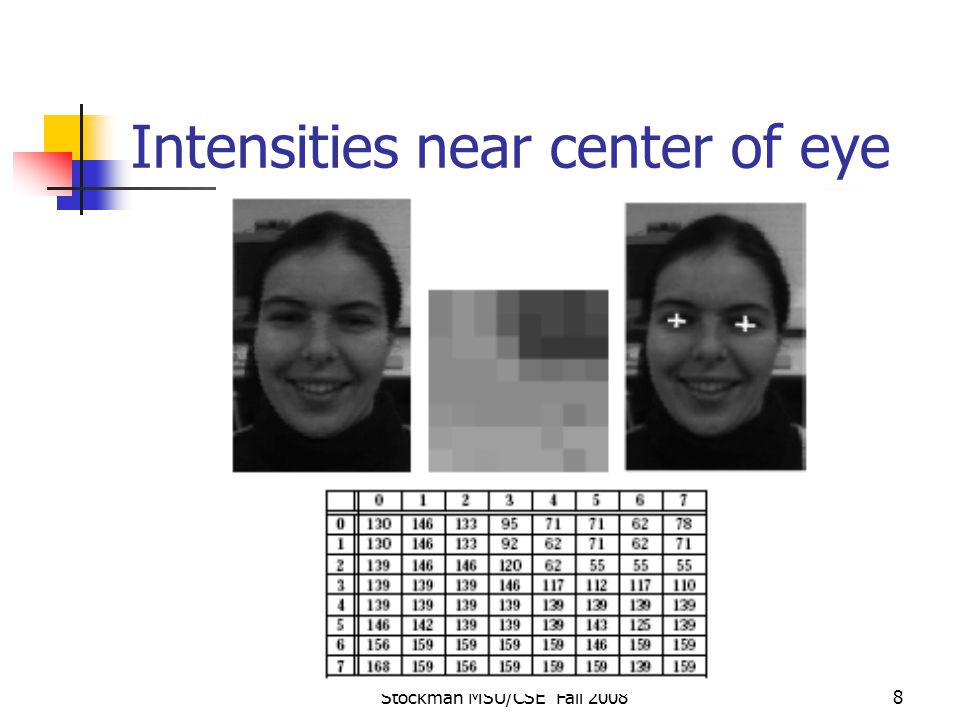 Stockman MSU/CSE Fall Intensities near center of eye