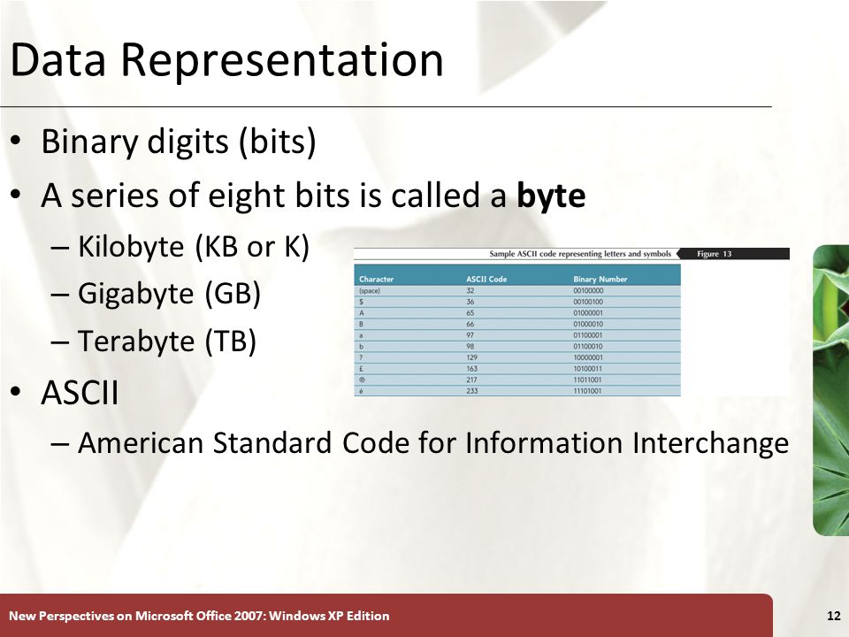 XP New Perspectives on Microsoft Office 2007: Windows XP Edition12 Data Representation Binary digits (bits) A series of eight bits is called a byte – Kilobyte (KB or K) – Gigabyte (GB) – Terabyte (TB) ASCII – American Standard Code for Information Interchange