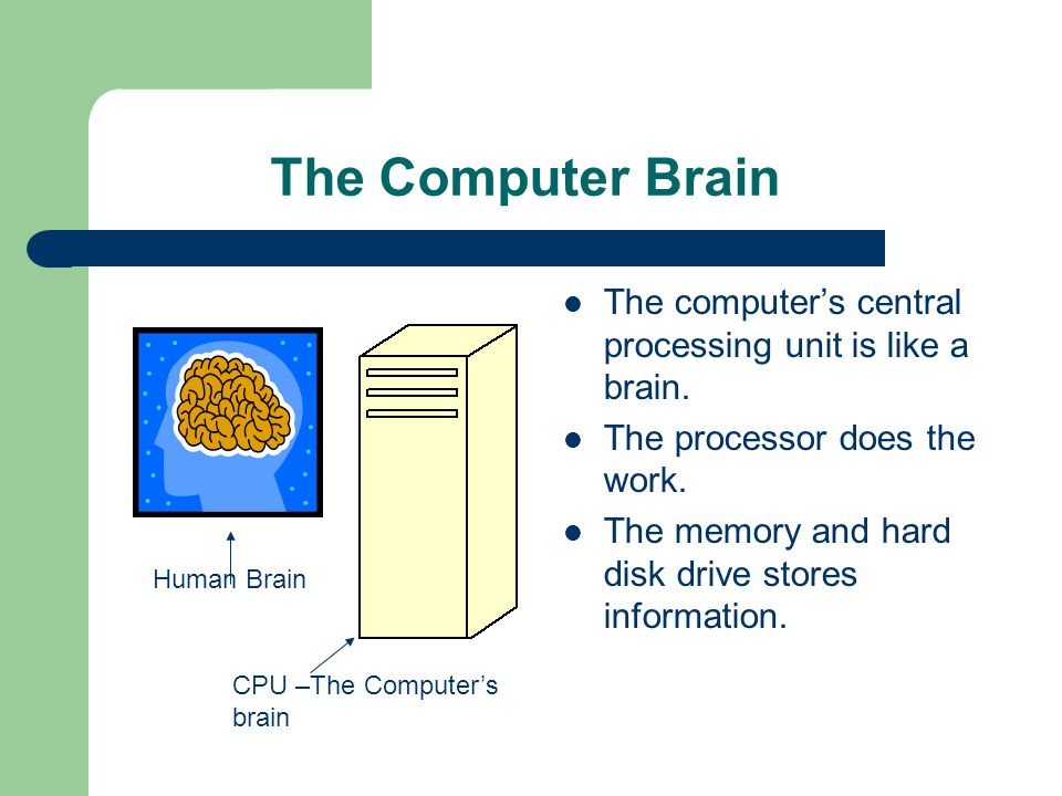 The Computer Brain The computer’s central processing unit is like a brain.