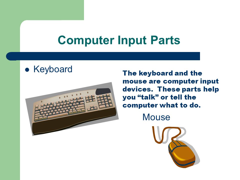 Computer Input Parts Keyboard Mouse The keyboard and the mouse are computer input devices.