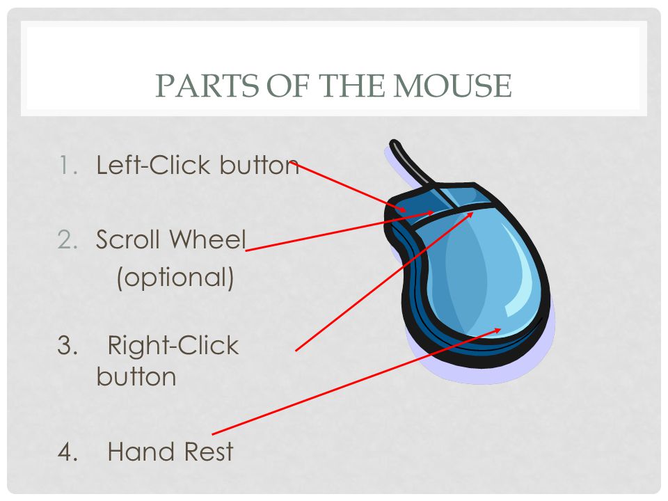 PARTS OF THE MOUSE 1.Left-Click button 2.Scroll Wheel (optional) 3. Right-Click button 4. Hand Rest