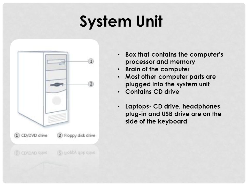 System Unit Box that contains the computer’s processor and memory Brain of the computer Most other computer parts are plugged into the system unit Contains CD drive Laptops- CD drive, headphones plug-in and USB drive are on the side of the keyboard