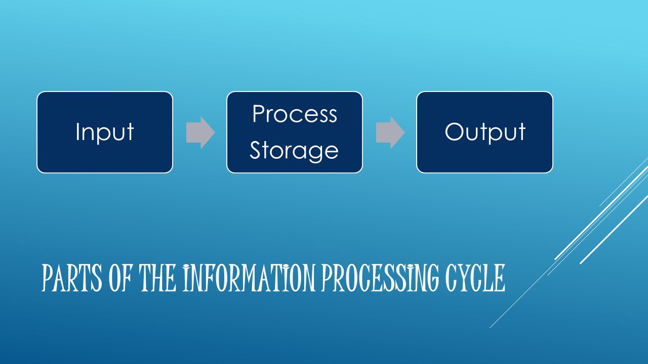 PARTS OF THE INFORMATION PROCESSING CYCLE Input Process Storage Output