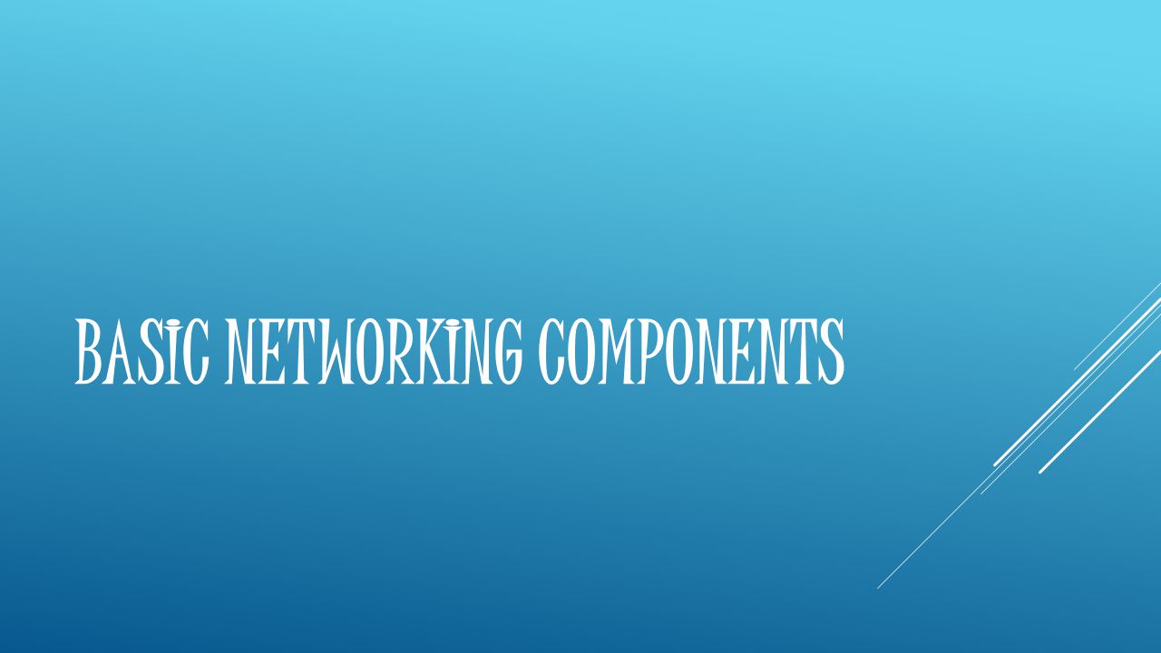 BASIC NETWORKING COMPONENTS