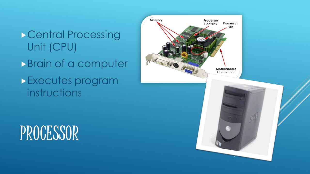 PROCESSOR  Central Processing Unit (CPU)  Brain of a computer  Executes program instructions