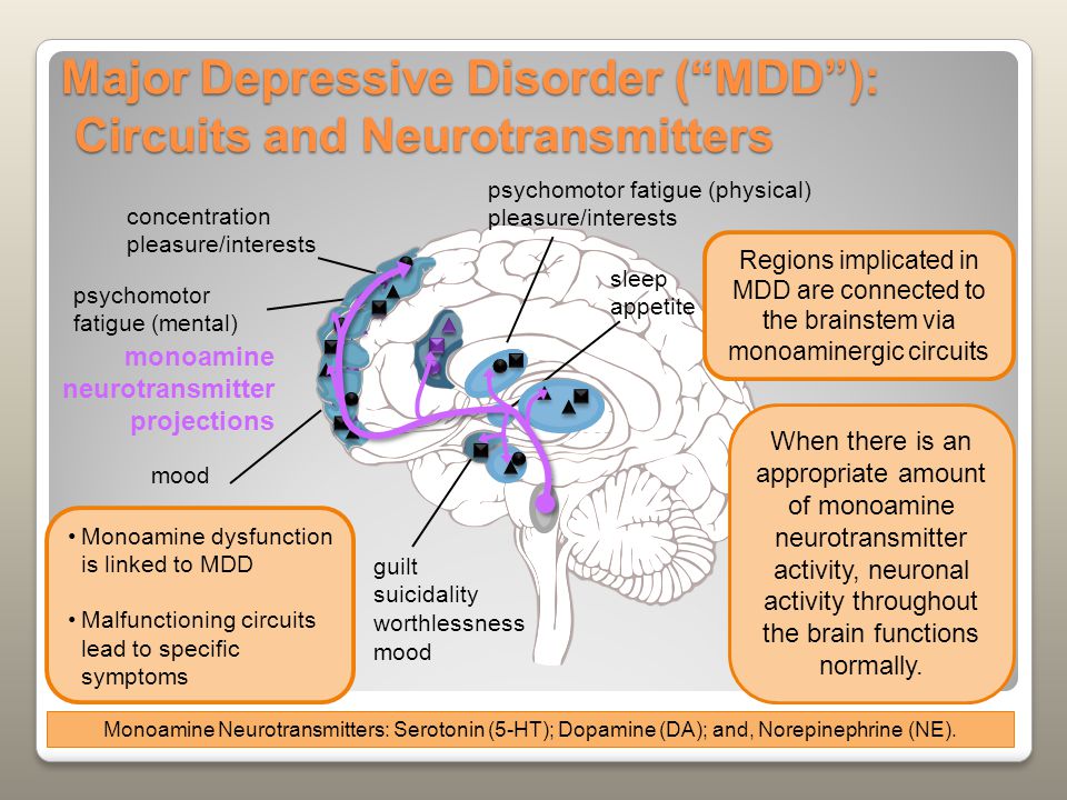 Major Depressive Disorder ( MDD ): Circuits and Neurotransmitters Monoamine dysfunction is linked to MDD Malfunctioning circuits lead to specific symptoms Monoamine Neurotransmitters: Serotonin (5-HT); Dopamine (DA); and, Norepinephrine (NE).
