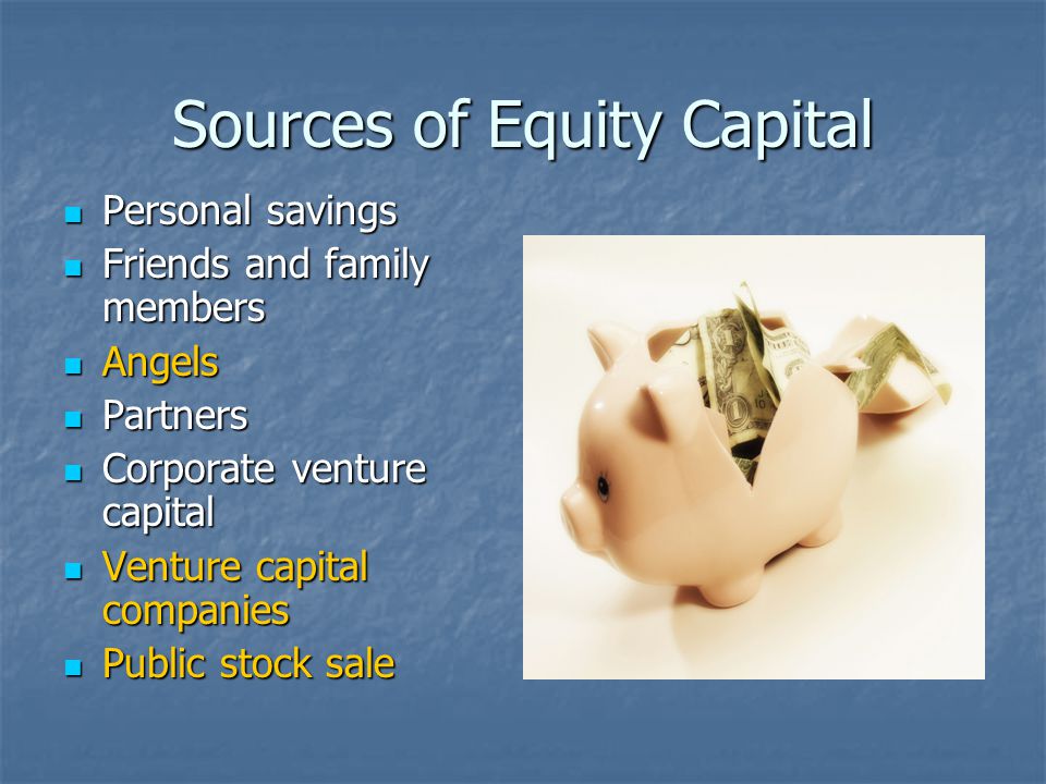 Sources of Equity Capital Personal savings Personal savings Friends and family members Friends and family members Angels Angels Partners Partners Corporate venture capital Corporate venture capital Venture capital companies Venture capital companies Public stock sale Public stock sale