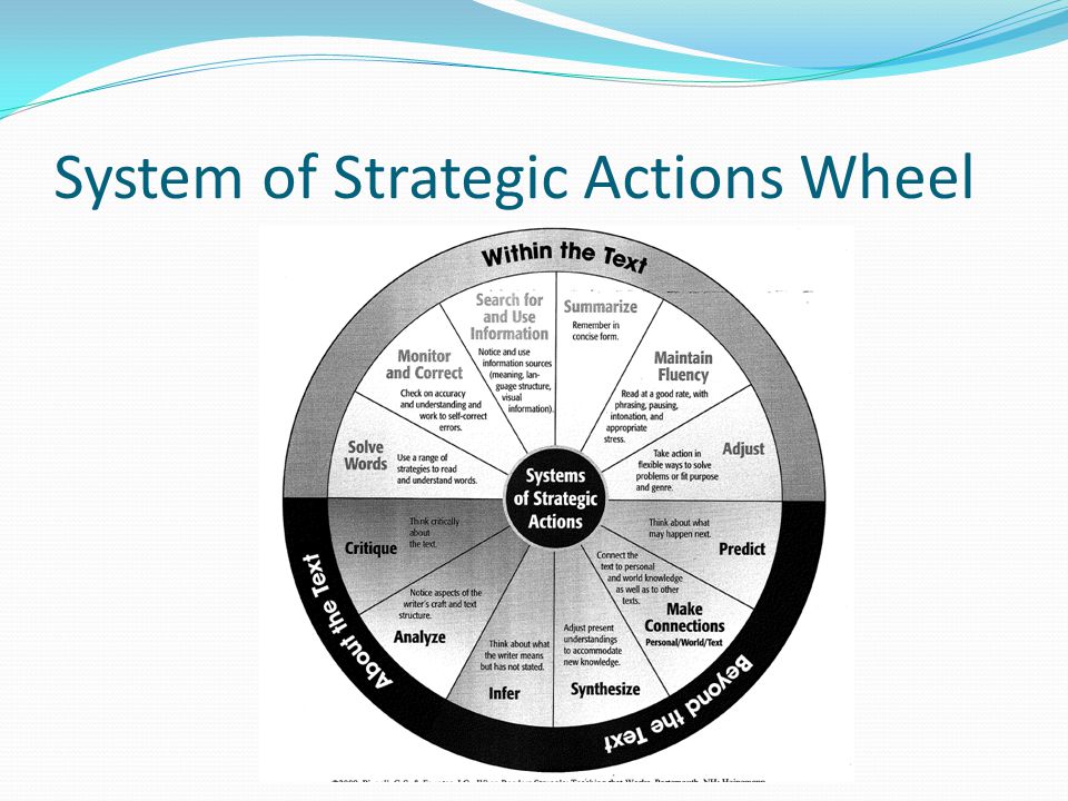 System of Strategic Actions Wheel