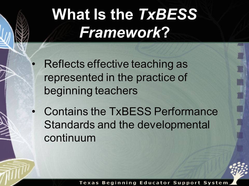 What Is the TxBESS Framework.