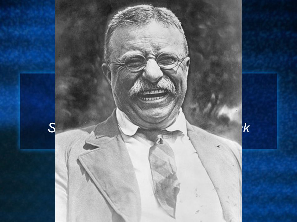 Foreign Policy of Theodore Roosevelt Speak Softly and Carry a Big Stick