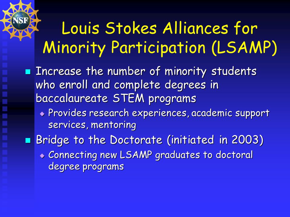 Louis Stokes Alliances for Minority Participation (LSAMP) Increase the number of minority students who enroll and complete degrees in baccalaureate STEM programs Increase the number of minority students who enroll and complete degrees in baccalaureate STEM programs  Provides research experiences, academic support services, mentoring Bridge to the Doctorate (initiated in 2003) Bridge to the Doctorate (initiated in 2003)  Connecting new LSAMP graduates to doctoral degree programs