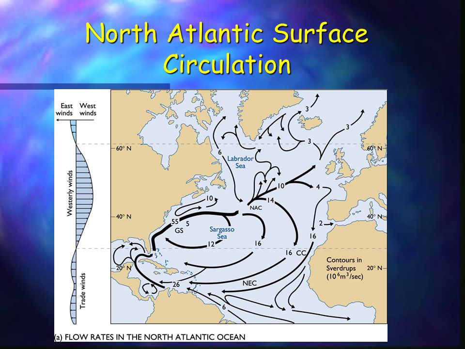 And island which parts. Остров Свердруп. Surface of Atlantic. Black Sea surface circulation. Свердруп и Ябек.