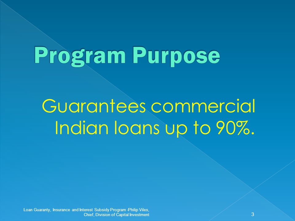 Loan Guaranty, Insurance and Interest Subsidy Program Loan Guaranty, Insurance and Interest Subsidy Program -Philip Viles, Chief, Division of Capital Investment 2