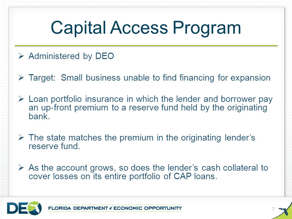 Capital Access Program  Administered by DEO  Target: Small business unable to find financing for expansion  Loan portfolio insurance in which the lender and borrower pay an up ‐ front premium to a reserve fund held by the originating bank.