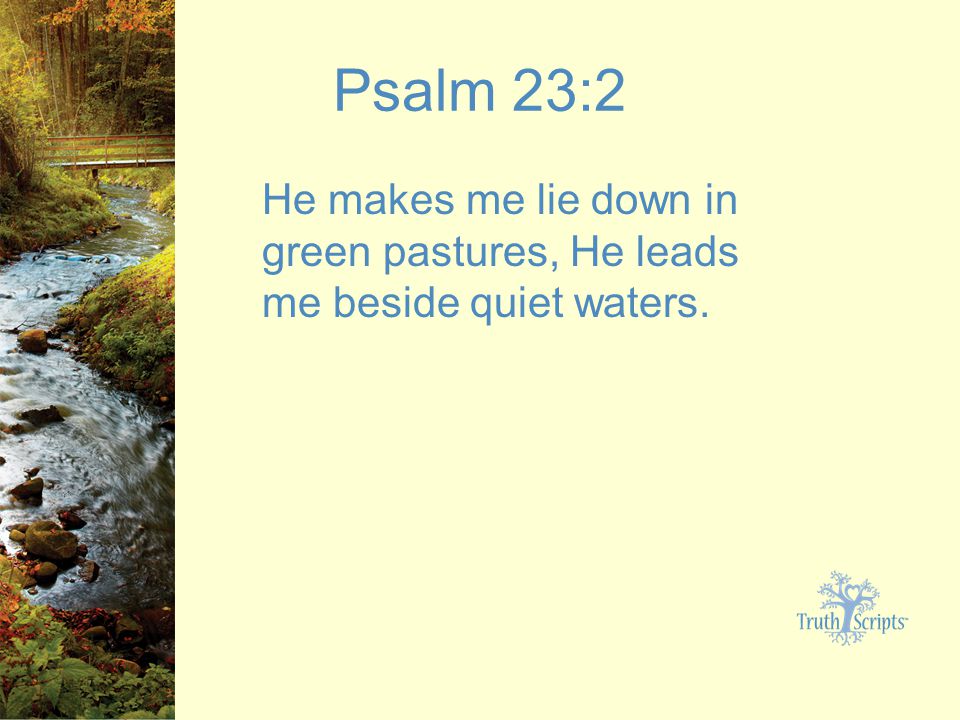 Psalm 23:2 He makes me lie down in green pastures, He leads me beside quiet waters.