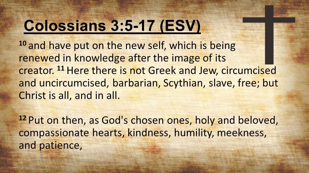 Colossians 3:5-17 (ESV) 10 and have put on the new self, which is being renewed in knowledge after the image of its creator.