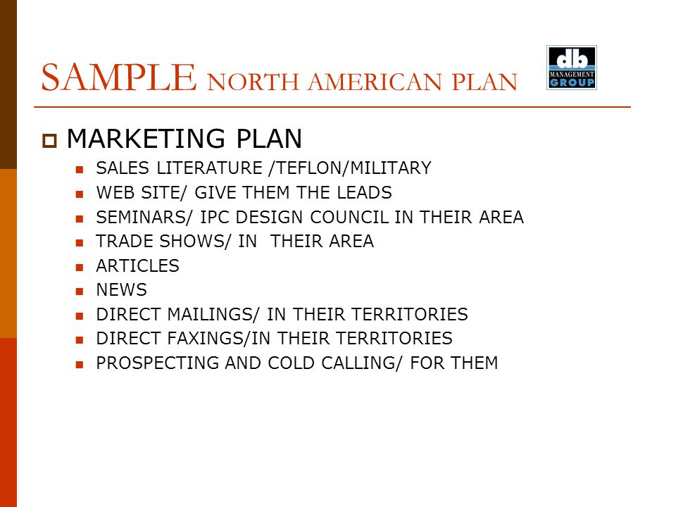 sample sales literature business plan