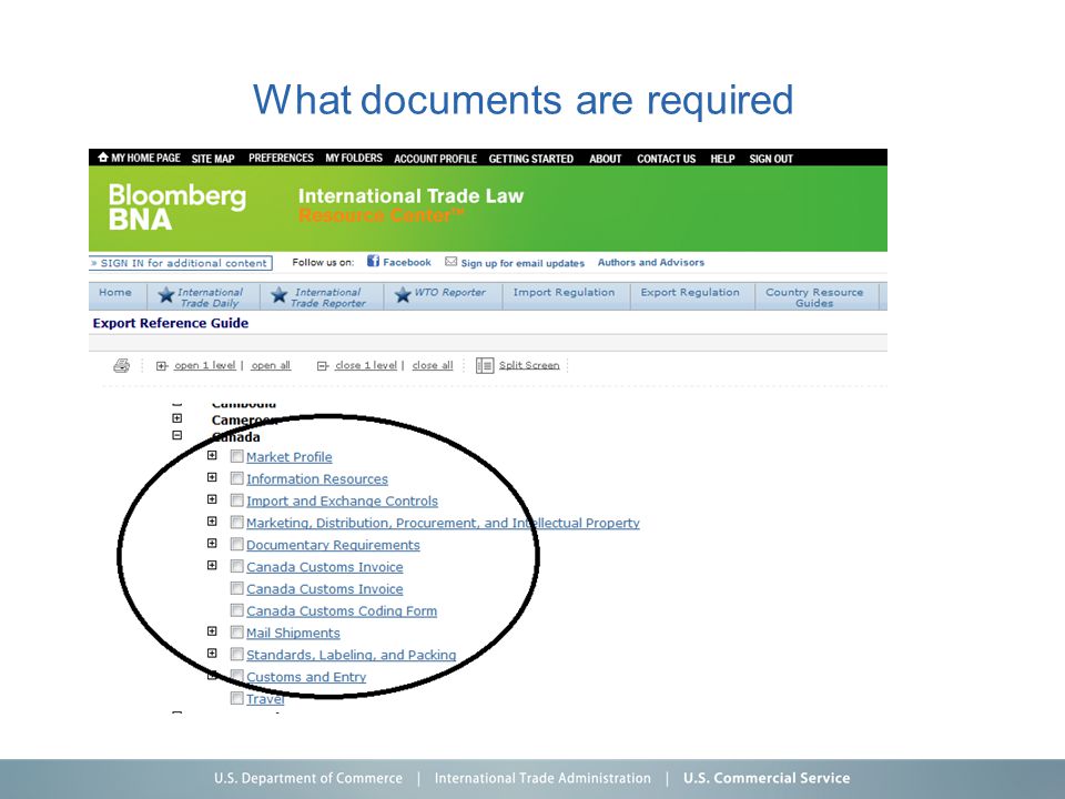 What documents are required