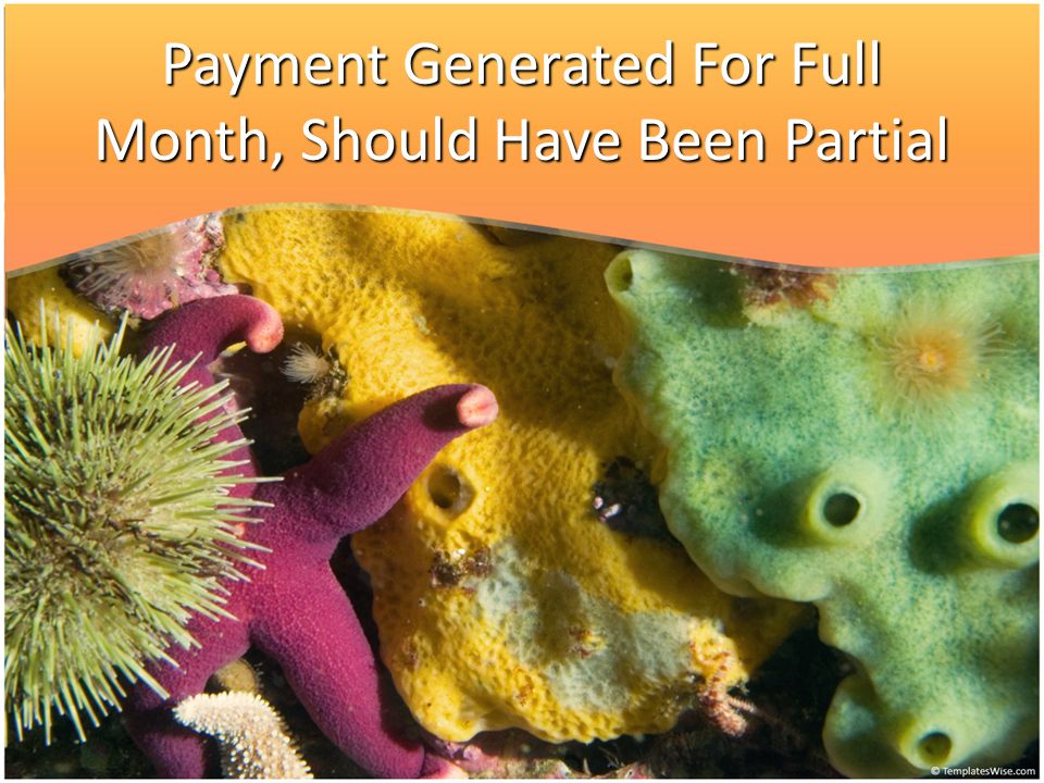 Payment Generated For Full Month, Should Have Been Partial