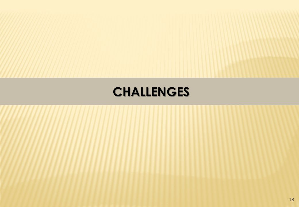 CHALLENGES CHALLENGES 18