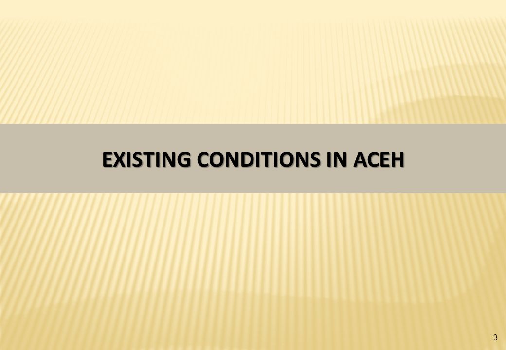 EXISTING CONDITIONS IN ACEH 3