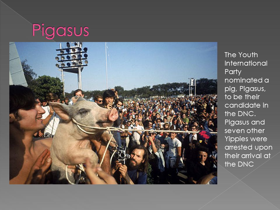 The Youth International Party nominated a pig, Pigasus, to be their candidate in the DNC.