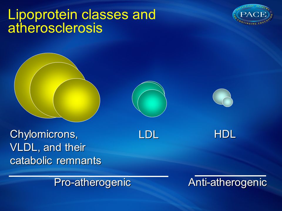 Lipoprotein classes and atherosclerosis Chylomicrons, VLDL, and their catabolic remnants LDL HDL Pro-atherogenicAnti-atherogenic