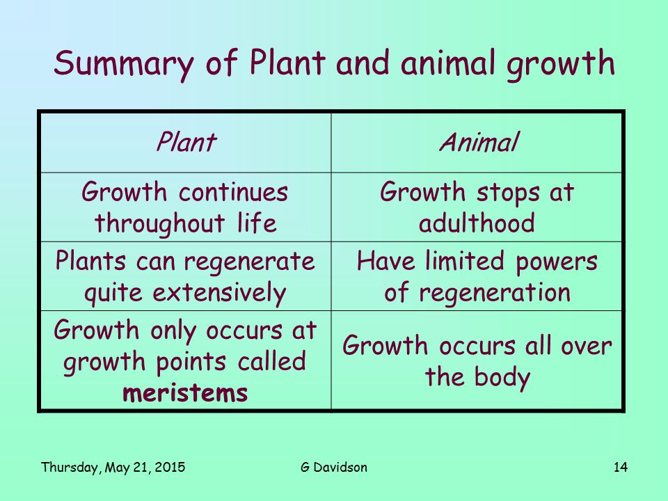 Control and Regulation Patterns of Growth in Plants and Animals M r G D a v  i d s o n. - ppt download