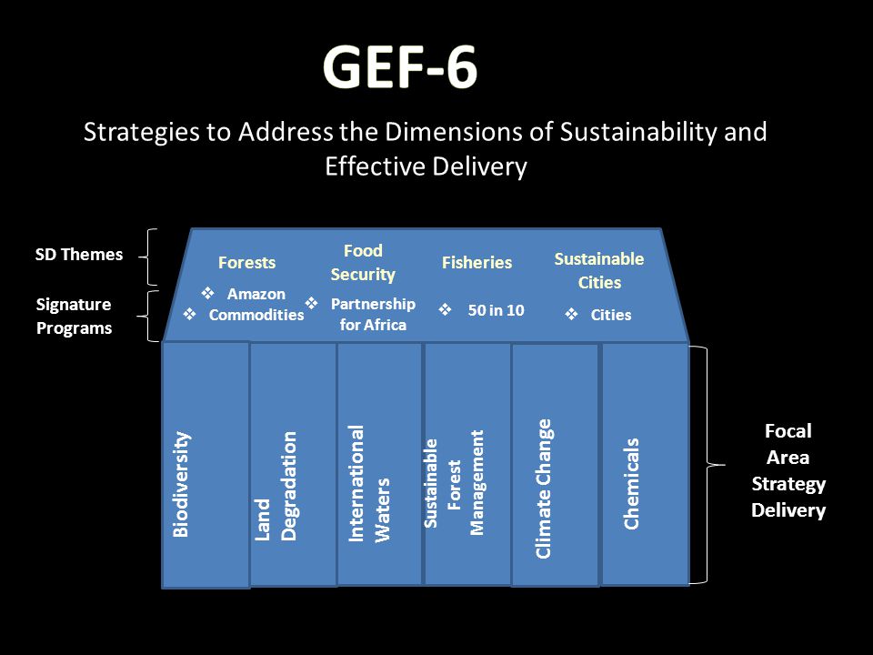 Strategies to Address the Dimensions of Sustainability and Effective Delivery Biodiversity Land Degradation Climate Change Chemicals International Waters Sustainable Forest Management Sustainable Cities Food Security FisheriesForests Focal Area Strategy Delivery SD Themes Signature Programs  Amazon  Commodities  Partnership for Africa  50 in 10  Cities