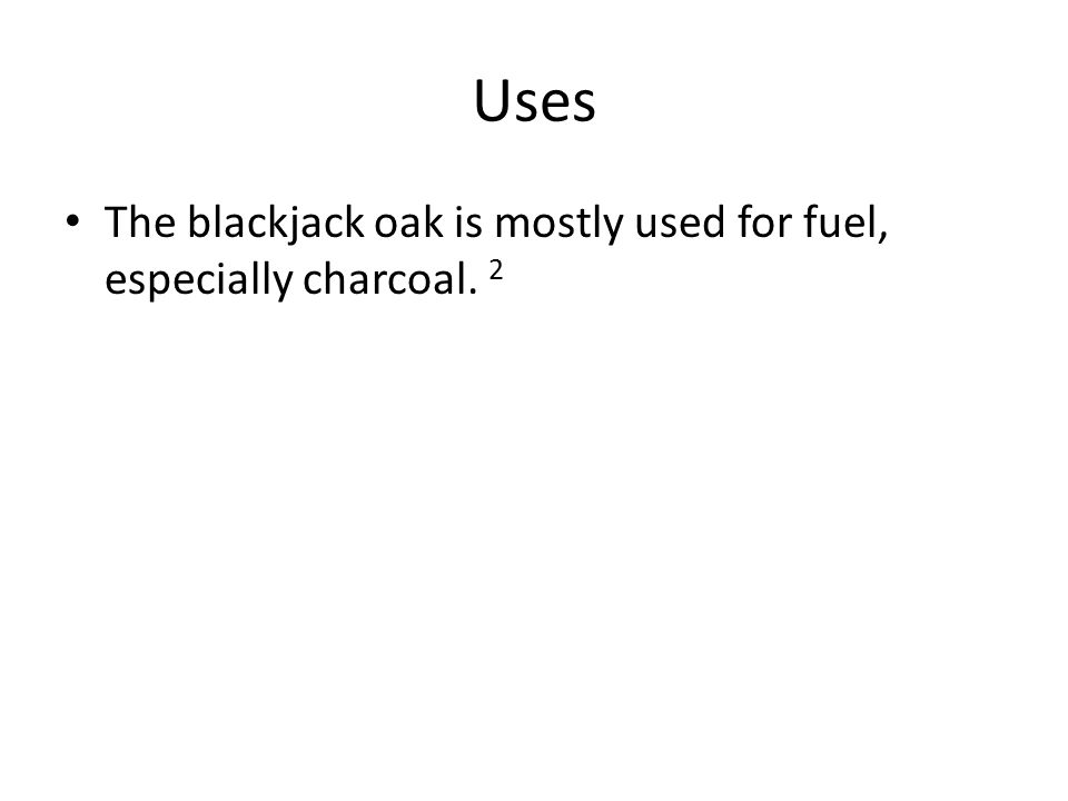 Uses For Blackjack Oak