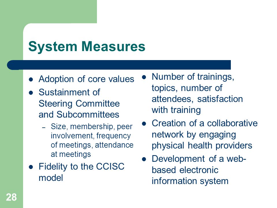 System Measures Adoption of core values Sustainment of Steering Committee and Subcommittees – Size, membership, peer involvement, frequency of meetings, attendance at meetings Fidelity to the CCISC model Number of trainings, topics, number of attendees, satisfaction with training Creation of a collaborative network by engaging physical health providers Development of a web- based electronic information system 28