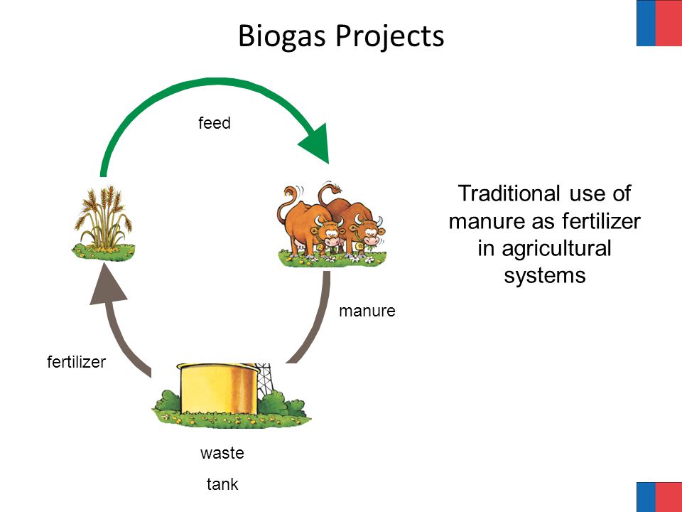 feed fertilizer manure waste tank Biogas Projects Traditional use of manure as fertilizer in agricultural systems