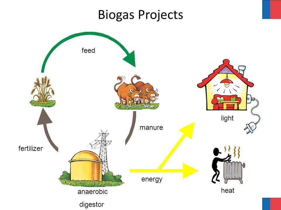 feed fertilizer manure energy light heat anaerobic digestor Biogas Projects
