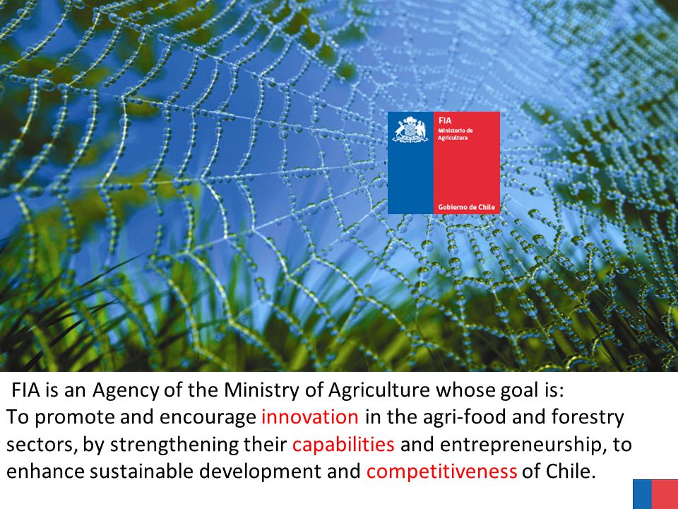 FIA is an Agency of the Ministry of Agriculture whose goal is: To promote and encourage innovation in the agri-food and forestry sectors, by strengthening their capabilities and entrepreneurship, to enhance sustainable development and competitiveness of Chile.