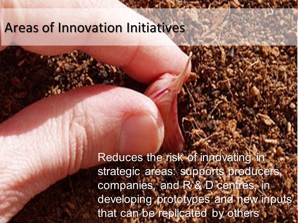 Areas of Innovation Initiatives Reduces the risk of innovating in strategic areas: supports producers, companies, and R & D centres, in developing prototypes and new inputs that can be replicated by others