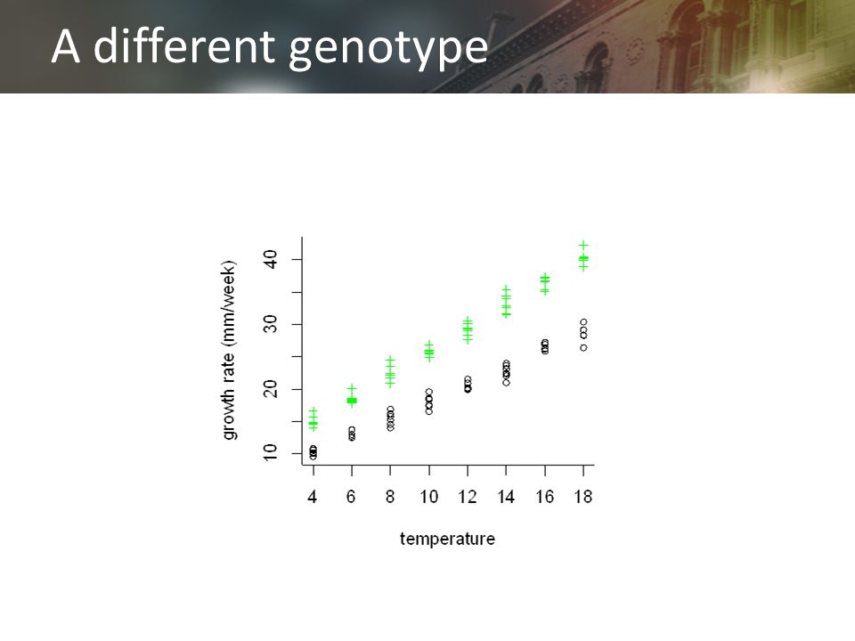 A different genotype