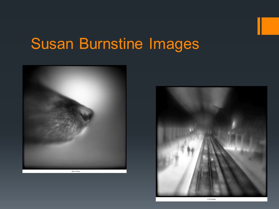 Susan Burnstine Images