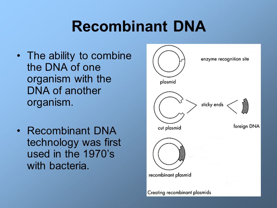 Recombinant DNA The ability to combine the DNA of one organism with the DNA of another organism.