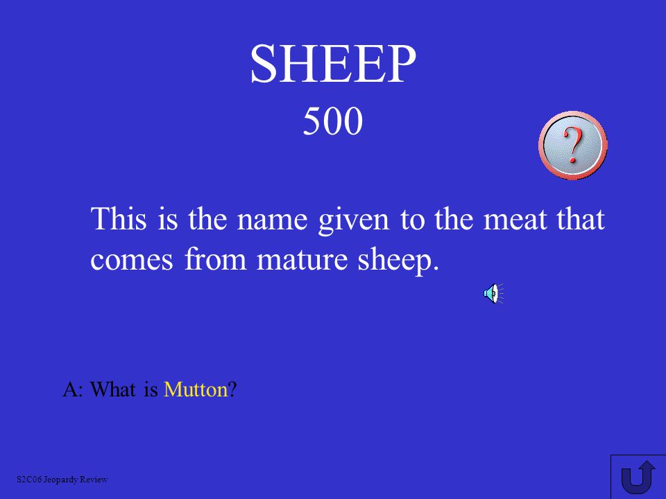 SHEEP 400 A: What is Ewe S2C06 Jeopardy Review This is the name given to an adult female sheep