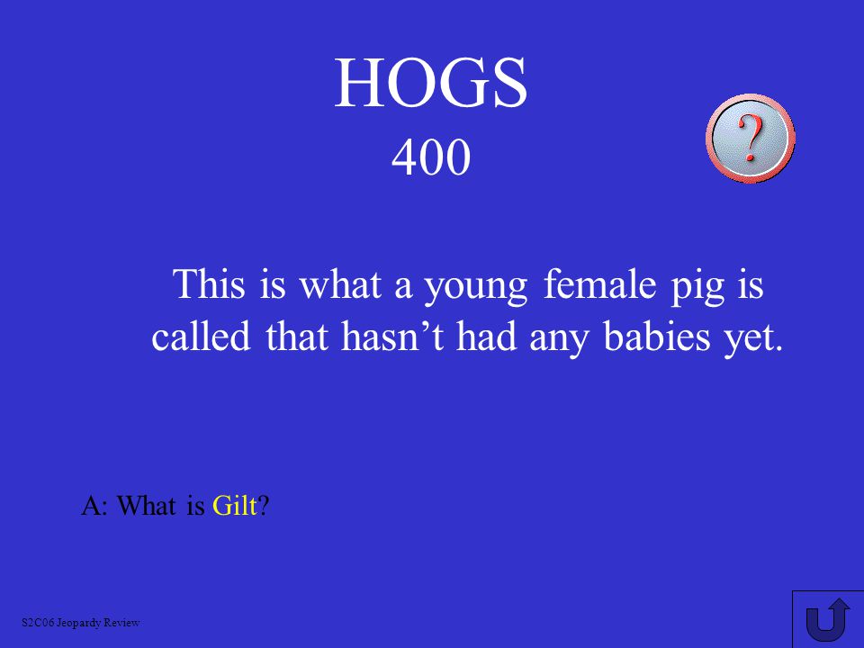 HOGS 300 A: What is Farrowing S2C06 Jeopardy Review This is what hogs giving birth is called.