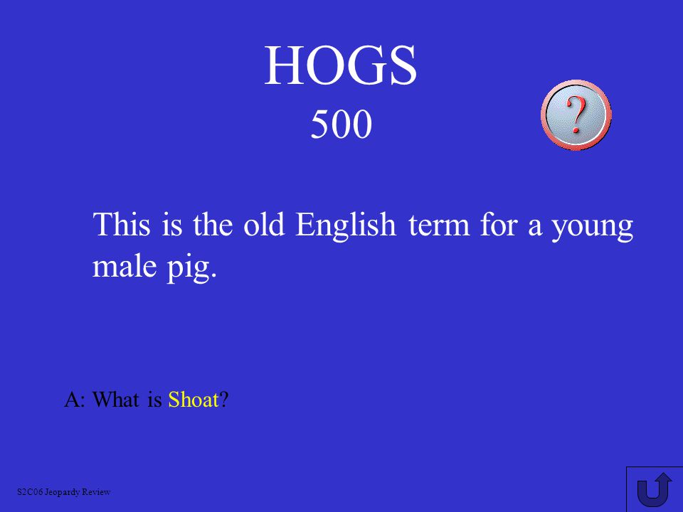 HOGS 400 A: What is Gilt.