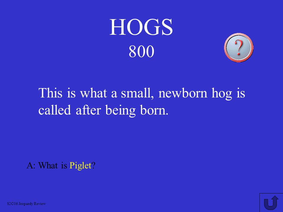 HOGS 700 A: What is Pork S2C06 Jeopardy Review This is the name given to meat from hogs.