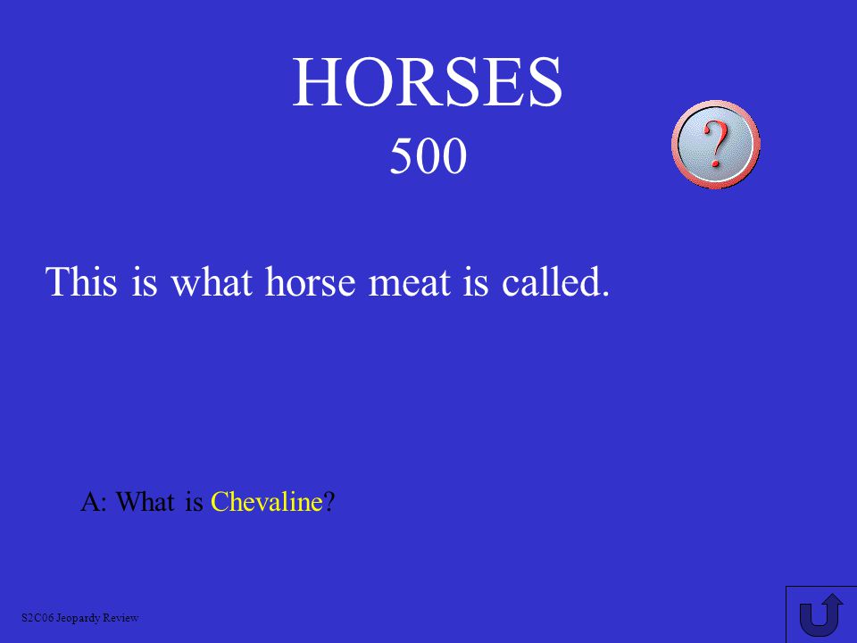 HORSES 400 A: What is a Gelding.