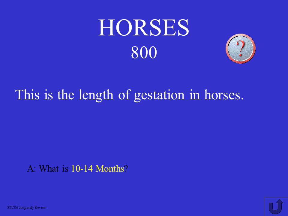 HORSES 700 A: What is Foaling S2C06 Jeopardy Review This is what giving birth in horses is called.
