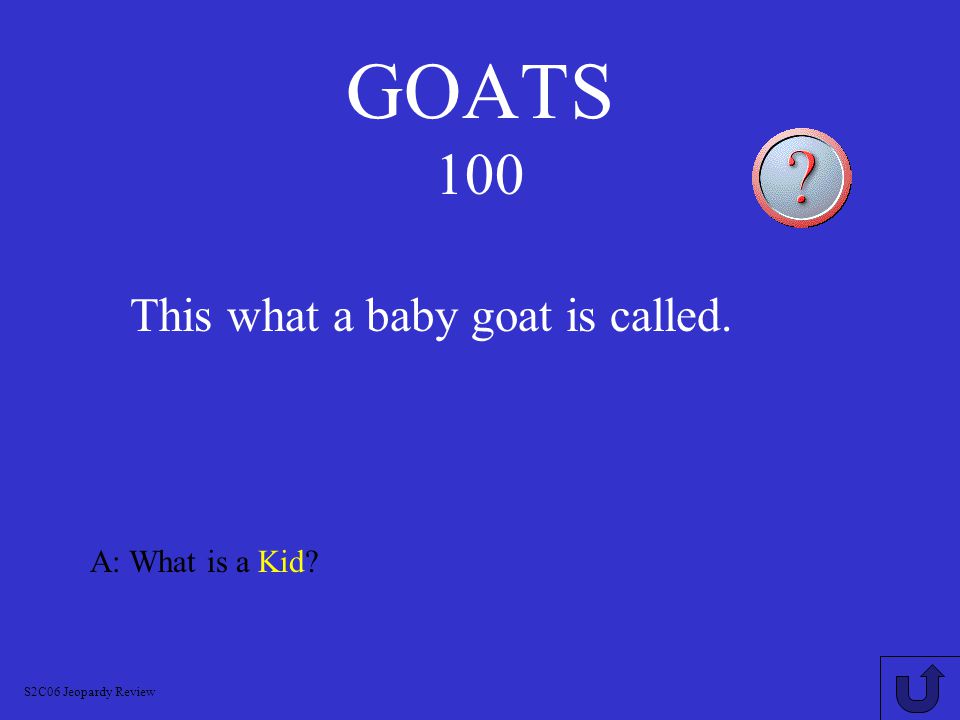 HORSES 900 A: What is Foal S2C06 Jeopardy Review This is what a newborn horse is called.